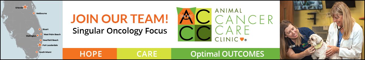 Join the ACCC team