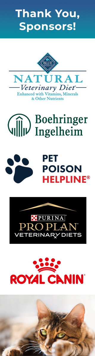 Sponsors