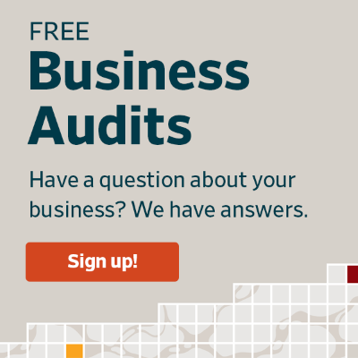Free Business Audits